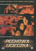 plakat filmu Pechowa ucieczka