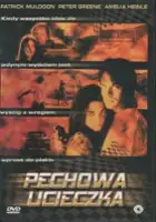 plakat filmu Pechowa ucieczka