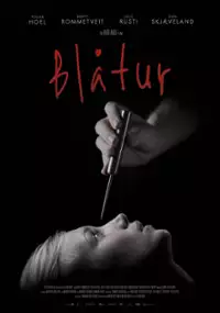 Plakat filmu Blåtur