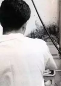 Plakat filmu De todo un poco