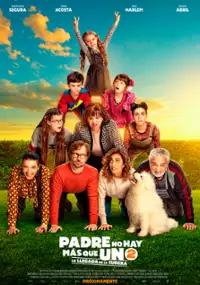 Plakat filmu Padre no hay m&aacute;s que uno 2: La llegada de la suegra