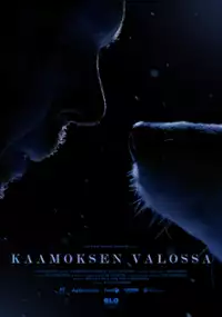 Plakat filmu Kaamoksen valossa
