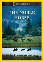 plakat filmu The Noble Horse