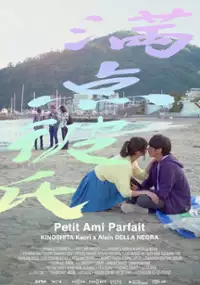 Plakat filmu Petit Ami Parfait