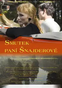 Plakat filmu Smutek pani Šnajder