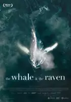 Jesse Zubot / The Whale and the Raven