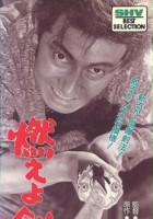 plakat filmu Moeyo-ken