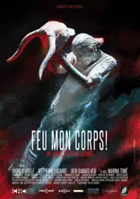 Plakat filmu Feu mon corps