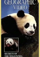 plakat filmu Secrets of the Wild Panda