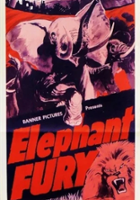 plakat filmu Gesprengte Gitter