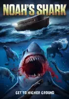 Tim Hatch / Noah's Shark