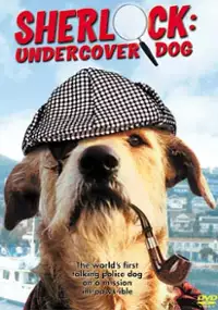 Plakat filmu Sherlock - Psi detektyw