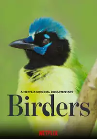 Plakat filmu Ptasiarze