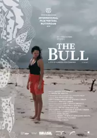 Plakat filmu O Touro
