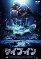 Nikita Kearsley / Zasypani