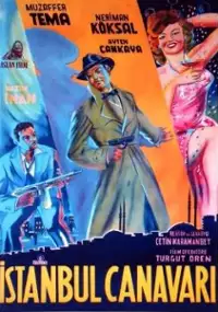 Plakat filmu Istanbul canavari