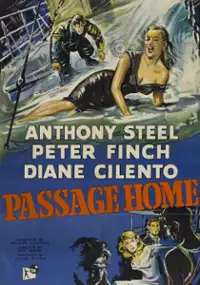 Plakat filmu Passage Home