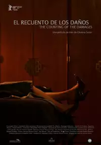 Plakat filmu El Recuento de los daños