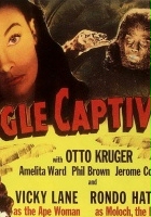 plakat filmu The Jungle Captive