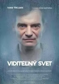 Plakat filmu Widzialny świat