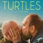 plakat filmu Les tortues