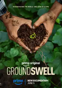 Plakat filmu Groundswell