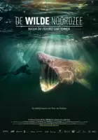 plakat filmu De wilde Noordzee