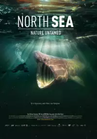 Plakat filmu De wilde Noordzee