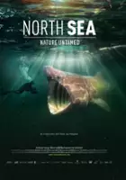 plakat filmu De wilde Noordzee