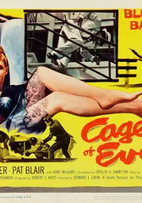 Plakat filmu Cage of Evil