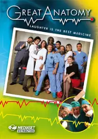 Plakat serialu Medici miei