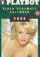 plakat filmu Dziewczyny z kalendarza 2000