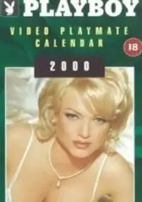Plakat filmu Dziewczyny z kalendarza 2000