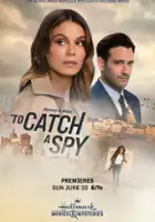 plakat filmu To Catch a Spy