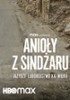 Anioły z Sindżaru