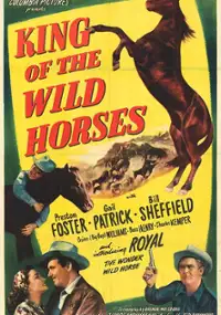 Plakat filmu King of the Wild Horses