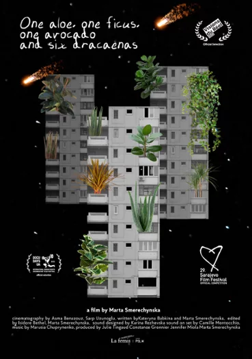 Plakat filmu Aloes, fikus, awokado i 6 dracen
