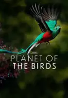 plakat filmu Planeta ptaków