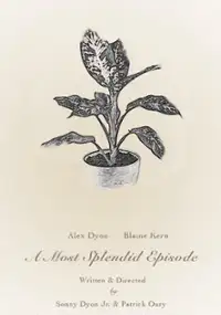 Plakat filmu A Most Splendid Episode