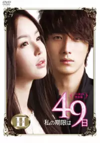 Plakat serialu 49-il