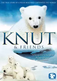 Plakat filmu Knut And Friends