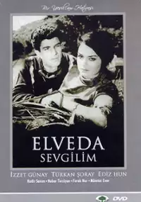 Plakat filmu Elveda sevgilim