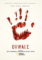 plakat filmu Drwale