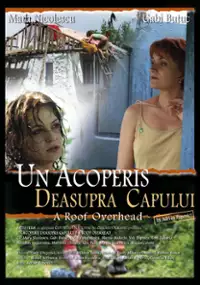 Plakat filmu Dach nad głową