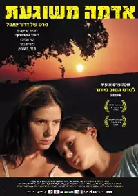 Plakat filmu Szaleństwa Adama