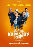 plakat filmu Certains l'aiment chauve