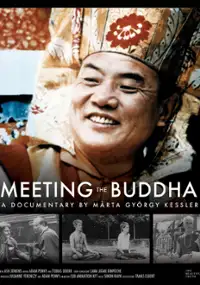 Plakat filmu Meeting the Buddha