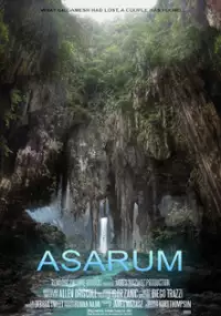 Plakat filmu Asarum