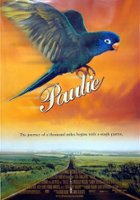 plakat filmu Paulie - gadający ptak