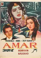 plakat filmu Amar